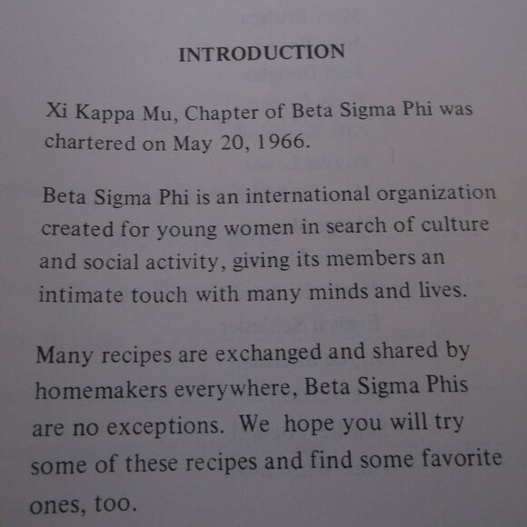 Cookin’ & Eatin’ Treasures 📖 Texas Kitchen Bundle, Vintage Cookbook + more - Picture 9 of 16